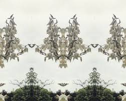 Maybe you would like to learn more about one of these? Beth Caruso Photography Digital Art