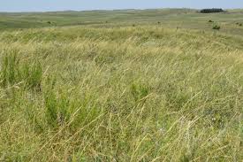 barta-brothers-ranch