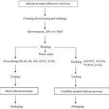 Pdf Effect Of Processing On The Chemical And