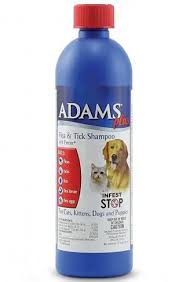 What Is The Best Flea Shampoo For Dogs Top 3 That Kills Fleas Asap Flea Shampoo For Dogs Flea Shampoo Best Dog Shampoo