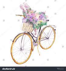 Ebay.com has been visited by 1m+ users in the past month Watercolor Bicycle With Flowers Bouquet Hand Royalty Free Stock Photo 423554812 Avopix Com