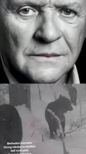 Be a wolf in this journey called life