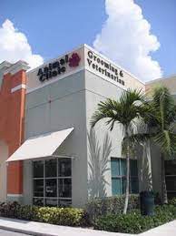 Pets care clinic in qatar. The Pet Care Clinic Of Doral Home Facebook