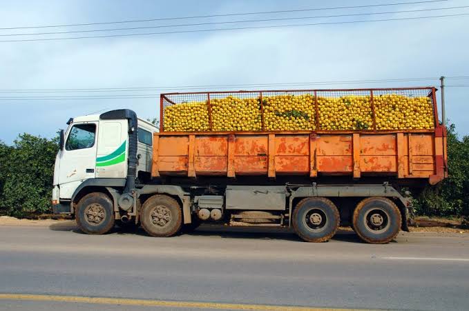 Export Containers