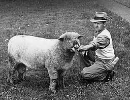 Death Notices for the week of April 4, 2004