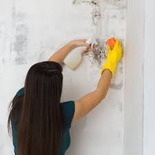 Слушать песни и музыку andrea bocelli (андреа бочелли) онлайн. Schimmel Entfernen So Bekampfst Du Das Problem Gala De