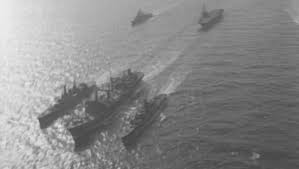 Image result for Gray 1971 Fleet