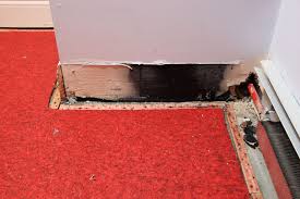 Water damage is a dreaded sight for every homeowner. Ways To Repair Water Damage On Baseboards Nationwide Restorations
