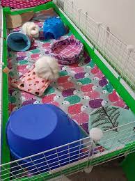 Easy way to make rabbit cage/hutch at home | how to make rabbit cage cage dimension length : About Fleece Cage Liners Deano Designs Perth