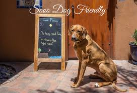 0.0 mile from buffalo thunder casino. Dogs Santa Fe Motel Inn Santa Fe Nm