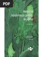 Image result for Eriocaulon angustibracteatum