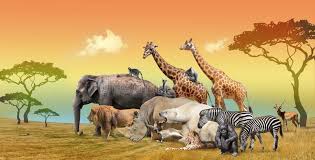 Paysage Pittoresque De Groupe De La Savane Et D Animaux Sauvages Illustration Stock Illustration Du Animaux Sauvages 137361699 Idées pour faire des masques des grands animaux sauvages comme les lions, les tigres ou les éléphants. animaux sauvages illustration stock