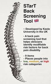 Image result for Start Back Screening Tool