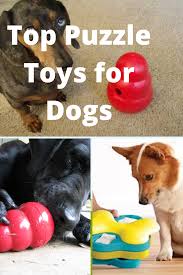 Maybe you would like to learn more about one of these? Best Puzzle Toys For Dogs Dog Toys Brain Games For Dogs Puzzle Toys
