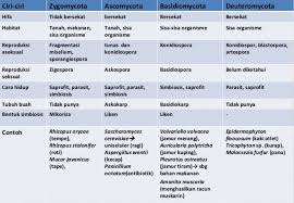 Maybe you would like to learn more about one of these? Persamaan Dan Perbedaan Zygomycota Dengan Basidiomycota Brainly Co Id
