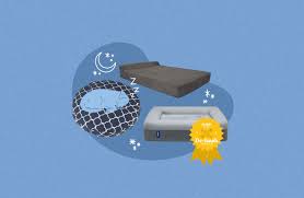 We did not find results for: 5 Best Dog Beds Of 2021 According To Experts And Editors