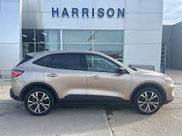 Image result for Dune 2007 Escape