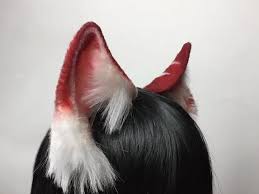 We believe in helping you find the product that is right for you. Bnha Todoroki Shouto Cosplay Faux Fur Cat Ears And Tail Etsy Cat Ears And Tail Neko Ears Cat Ears
