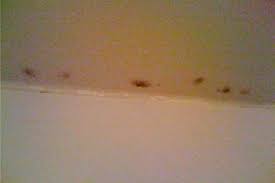 Once you're ready with the preparation, the steps to do are: Black Spots On Bathroom Wall Novocom Top