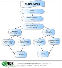 Mcdonalds Organizational Chart Custom Paper Sample
