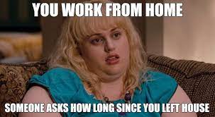 Work From Home Memes Working From Home Meme Working From Home Busy At Work