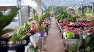 Cukup dengan mengeluarkan kocek rp.7000/orang. Jalan Jalan Di Taman Bunga Rokoy Pandeglang Youtube