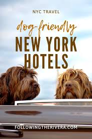 Dog Friendly Hotels Nyc 1 Sensational Boutique In Soho Dog Friendly Hotels New York City Travel Dog Friends