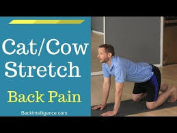 Pin On Yoga