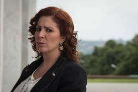 Veja mais ideias sobre paulo pimenta, brasil corrupção, você me completa. Pf Intima Zambelli A Depor Em Investigacao Sobre Atos Antidemocraticos