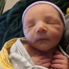 Kyle Albright (@ichigichi_oolalah) • Instagram photos and videos