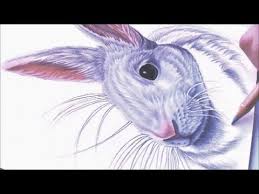Standard colored pencils will not work for this project. Colored Pencil Drawing White Bunny Speed Draw Youtube