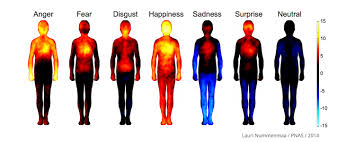 Lerne, wie du in 5 einfachen schritten deine emotionen bewusst kontrollieren kannst. Eine Bessere Erfolgsbilanz Durch Die Verkorperung Von Emotionen