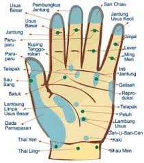 Atasi Beberapa Penyakit Dengan Tekan Titik Refleksi Setiap Organ Tubuh Memiliki Titik Titik Saraf Yang Pendidikan Kesehatan Sistem Tubuh Manusia Refleksiologi