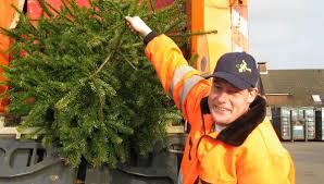 Feierst du weihnachten und wenn ja, wie? Boyens Medien Abjanuar Werden Weihnachtsbaume Abgeholt