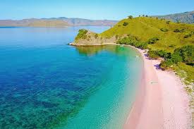 These are the best pink beach found in the world: 14 Best Pink Sand Beaches In The World Planetware
