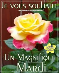 Pin Op Bon Mardi