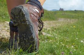 Afbeeldingsresultaat voor wandelen