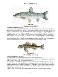 Majoritatea speciilor de pisici de apa dulce din comert, din acvaristica sunt pisici ce apartin familiei potamotrigonidae, o familie ce cuprinde in jur de pisicile pot imparti acvariul cu cateva alte specii de pesti insa acestea sunt relative putine. Pesti De Apa Dulce