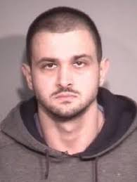 Man to spend 5 years in prison after engaging in sex acts with a horse