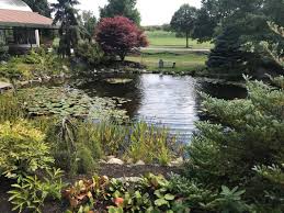 Rhino garden supply raised garden beds elevated planters vertical gardens Gardener S Supply Williston Garden Center Outlet 17 Reviews Nurseries Gardening 472 Marshall Ave Williston Vt United States Phone Number Yelp