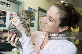 538 Animal Shelter Staff Stock Photos, High-Res Pictures, and Images