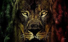 Bob marley painting bob marley art bob marley legend lion wallpaper music wallpaper iphone wallpaper wallpaper maker black wallpaper nature wallpaper. Rasta Lion Wallpapers Top Free Rasta Lion Backgrounds Wallpaperaccess