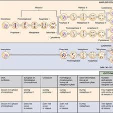 reproduction life science pearltrees