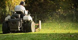 As your grass is growing super tall and you need to find a reliable landscape greenpal takes the guesswork out of finding an affordable yard mowing service near me. The 10 Best Cheap Lawn Care Services Near Me With Free Estimates