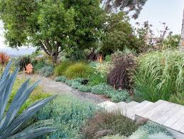 Wonderful Waterwise Garden Garden Design Garden Design Magazine Amazing Gardens