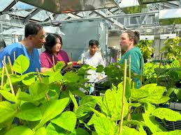 Nicole Thunes : USDA ARS