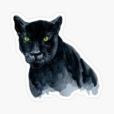But his thick eyebrows and pointed military mustache were as black as the night from which rainsford had come. Black Panther Face To Face Poster By Jeannierose Redbubble