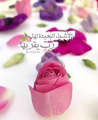 pin by hanan hanan on صباح الخير arabic jokes friday messages ribbon slides