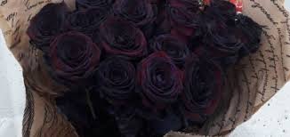 Biru merupakan suatu warna yang tenang, tetapi bunga ros biru membawa erti mustahil atau tidak dapat disempurnakan. Maksud Di Sebalik Warna Dan Jumlah Tangkai Bunga Ros