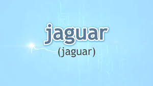 Derrived from some indian word and is also sometimes spelled yaguar. How To Pronounce Jaguar Jaguar In Spanish Youtube